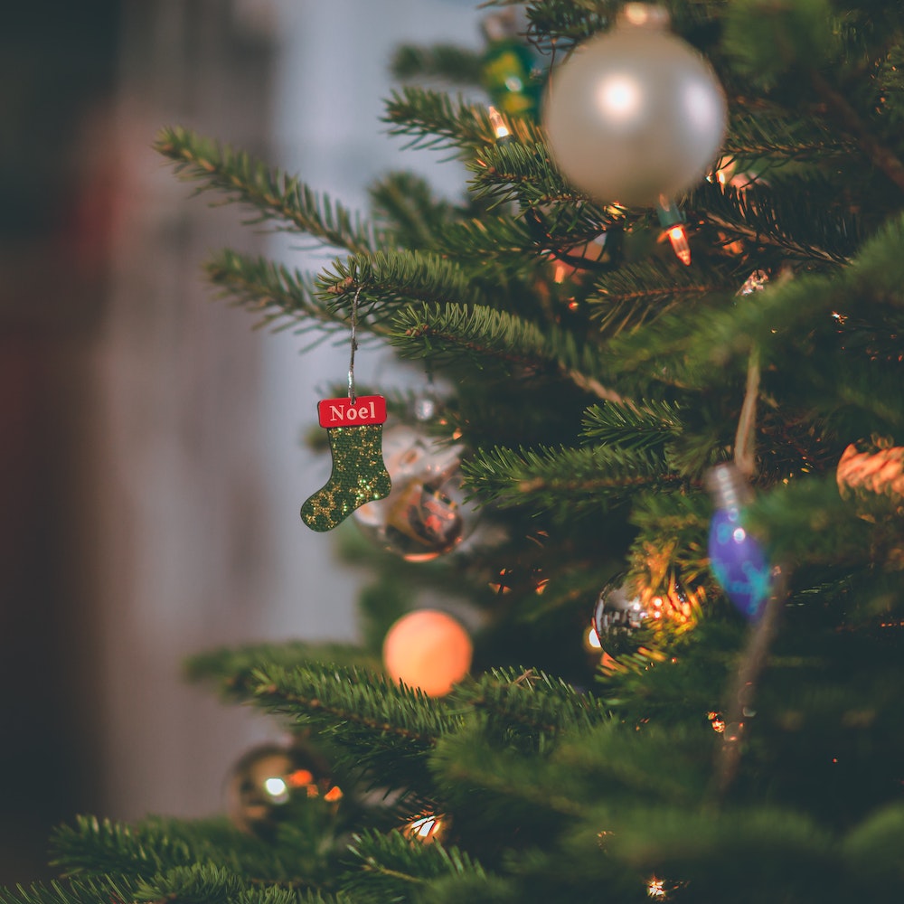クリスマスツリーの写真